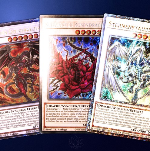 Sternenstaubdrache rotdrachen - sternenstaubdrache,